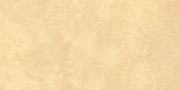 RAUL AMBER Vitrified Tiles