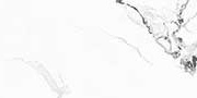 SHIRE WHITE Vitrified Tiles