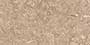 STARK BROWN VPOL Vitrified Tiles