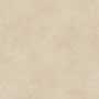 EARTH IVORY MATT REC Vitrified Tiles