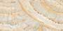 ANANT CRESTAL EXO Vitrified tiles Tiles