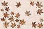 ELISIMO HL Ceramic Tiles
