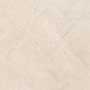 ASH MONTE MT VMT Vitrified Tiles