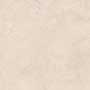 ASH MONTE MT VMT Vitrified Tiles