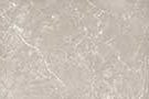 PARADISE NATURAL Glazed Vitrified Tiles
