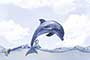 CORAL DOLPHIN HL1 Ceramic Tiles