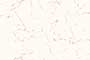 ROYAL MARFIL LT GLDGRE Ceramic Tiles