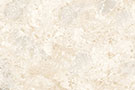 Asacia Ivory Vitrified Tiles
