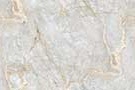 Magic Gold Vitrified Tiles