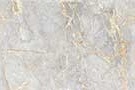 Magic Gold Vitrified Tiles