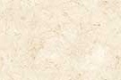 NOVA MARFIL VPOL Vitrified Tiles