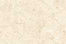 NOVA MARFIL VPOL Vitrified Tiles