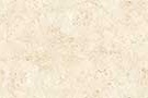NOVA MARFIL VPOL Vitrified Tiles