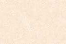 TOLSTOY IVORY VPOL Vitrified Tiles