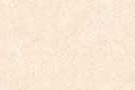TOLSTOY IVORY VPOL Vitrified Tiles