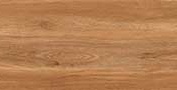 CINDY PALE WOOD MT GVT Tiles