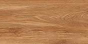 CINDY PALE WOOD MT GVT Tiles