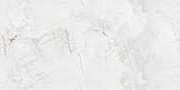 ELEVATE BIANCO POL GVT Tiles