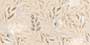 PERCIAN DOLLAR POL GVT Tiles