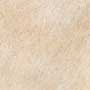 CEDRIC BEIGE Vitrified tiles Tiles