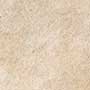 CEDRIC BEIGE Vitrified tiles Tiles