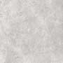 CEDRIC SILVER Vitrified tiles Tiles
