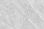 BULGARIA GREY Vitrified Tiles