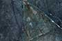NEOCLASS AZUL Vitrified Tiles