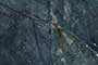 NEOCLASS AZUL Vitrified Tiles