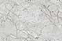PERSONA GREY Vitrified Tiles