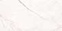 REAMS WHITE Vitrified tiles Tiles