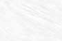 WHITE AVORIO VPOL Vitrified Tiles