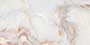 BRUSTER PURPLE Vitrified Tiles