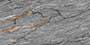 FRYETT NERO Vitrified Tiles