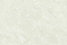 FLORA GREEN ENDLESS Glazed Vitrified Tiles