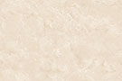 PARLA FLORA ENDLESS Glazed Vitrified Tiles