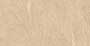 BEIGE FEANZA VPOL Vitrified Tiles