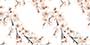 FLORAL PINK VPOL Vitrified Tiles