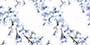 FLORAL BLUE VPOL Vitrified Tiles