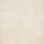 ANDROMEDA TR MTPOREC Vitrified Tiles